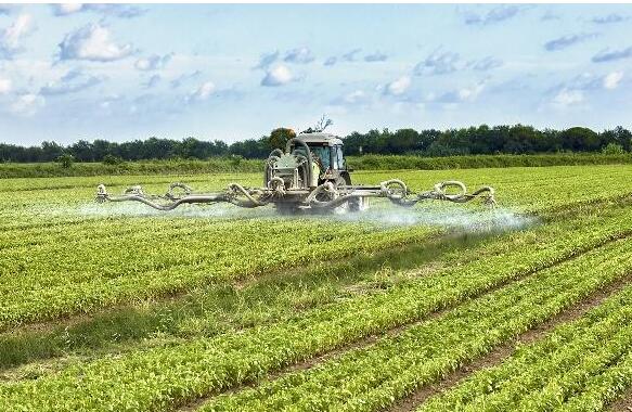 <a href=http://www.6060dd.com/mcy/ target=_blank class=infotextkey>木醋液</a>