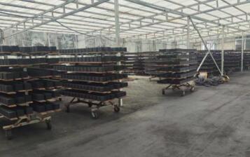 天津活性炭<a href=http://www.6060dd.com/fwzhxt/ target=_blank class=infotextkey>蜂窩活性炭</a>價格